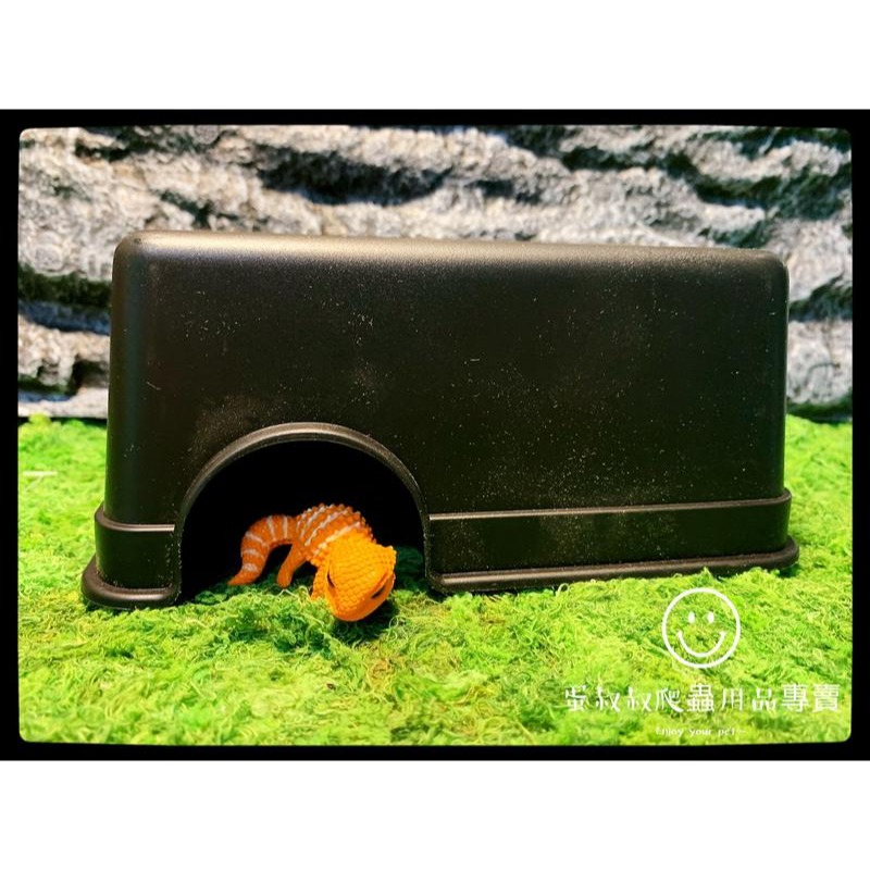 蛋叔叔-爬蟲躲避屋/守宮洞/守宮屋/洞穴/瘤尾/造景/蠍子/保濕/短雕/螯蝦/劍毒蛙/玉米蛇/劍毒蛙/螃蟹/幼蛇-細節圖6