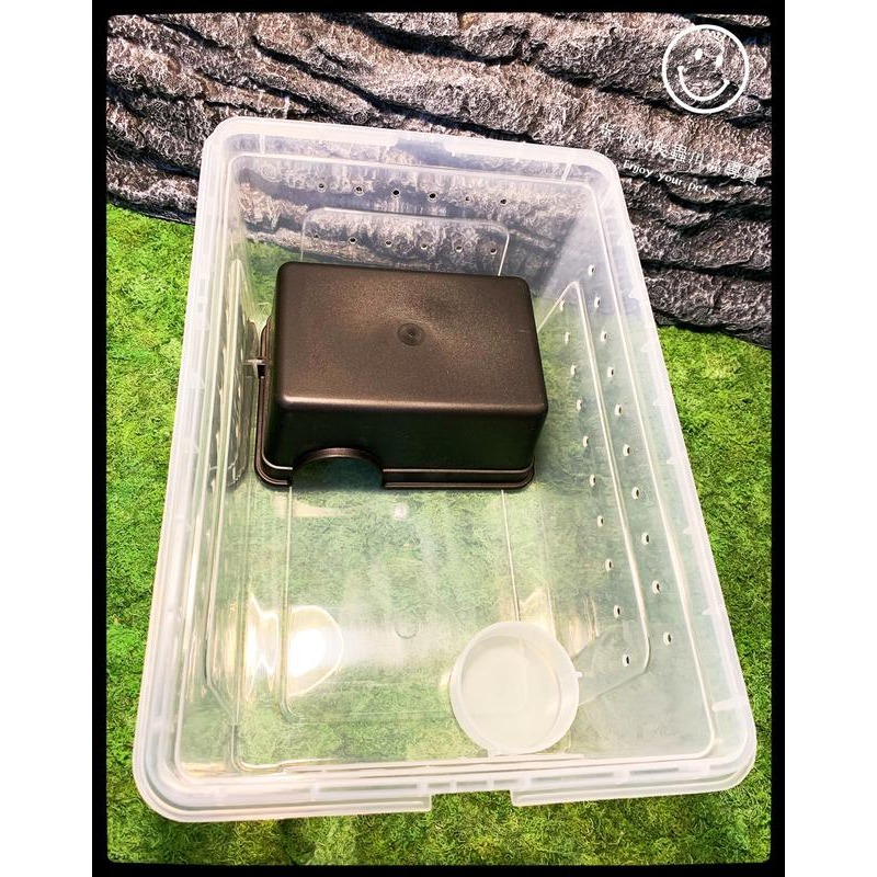 蛋叔叔-爬蟲躲避屋/守宮洞/守宮屋/洞穴/瘤尾/造景/蠍子/保濕/短雕/螯蝦/劍毒蛙/玉米蛇/劍毒蛙/螃蟹/幼蛇-細節圖8