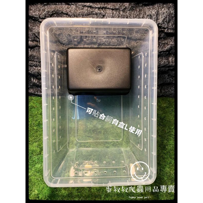 蛋叔叔-爬蟲躲避屋/守宮洞/守宮屋/洞穴/瘤尾/造景/蠍子/保濕/短雕/螯蝦/劍毒蛙/玉米蛇/劍毒蛙/螃蟹/幼蛇-細節圖9