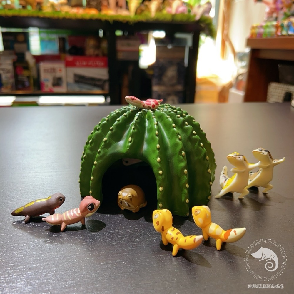 蛋叔叔-LD-躲藏洞-仙人掌/仿真植物/守宮洞/守宮屋/洞穴/造景/瘤尾守宮/肥尾守宮/沙漠景/蠍子/豹紋守宮/躲避屋-規格圖10