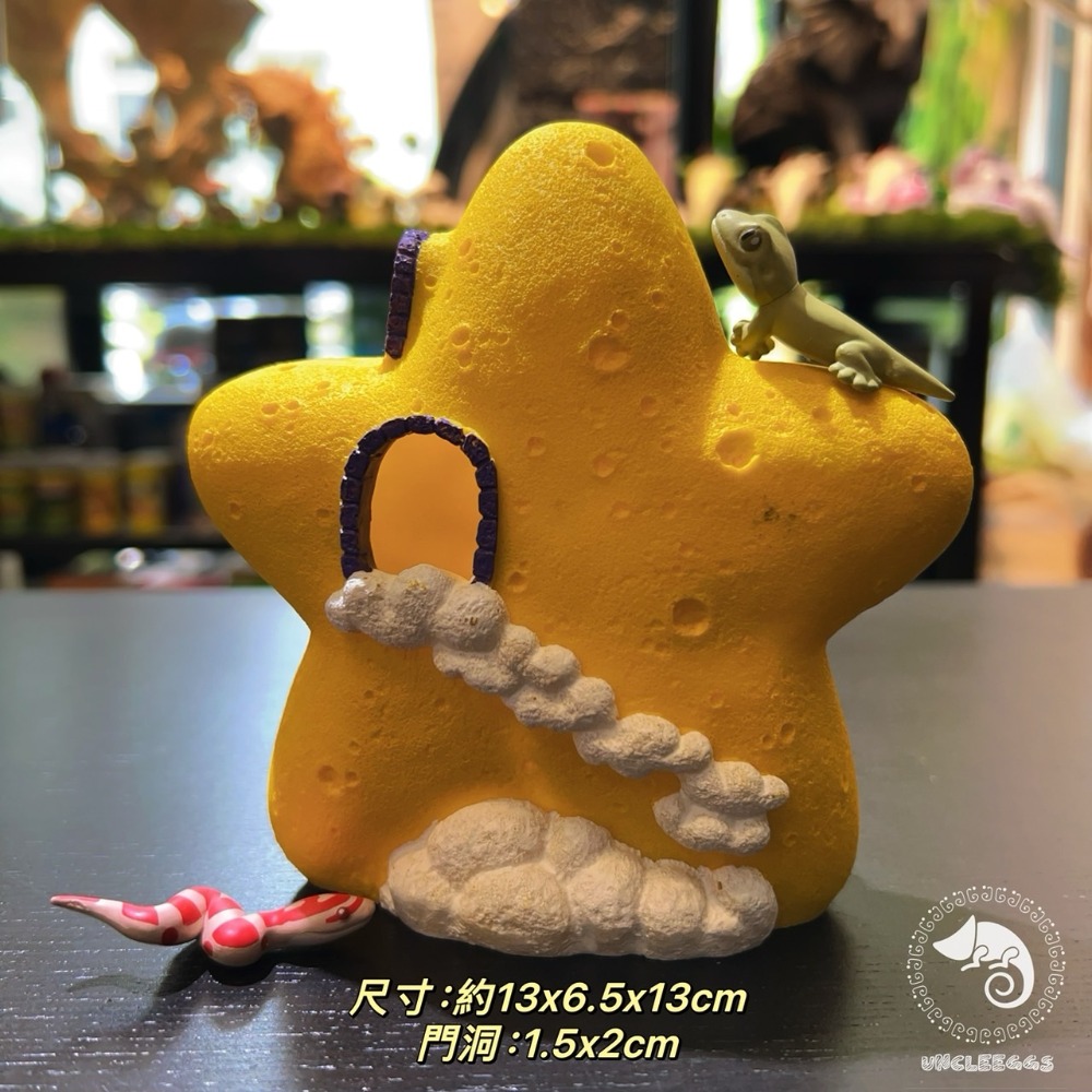 蛋叔叔-月亮星星屋/星空/擺飾/洞穴/造景/樹棲型/洞穴/星座/命盤/睫角守宮/豹紋守宮/肥尾守宮/公仔-規格圖10