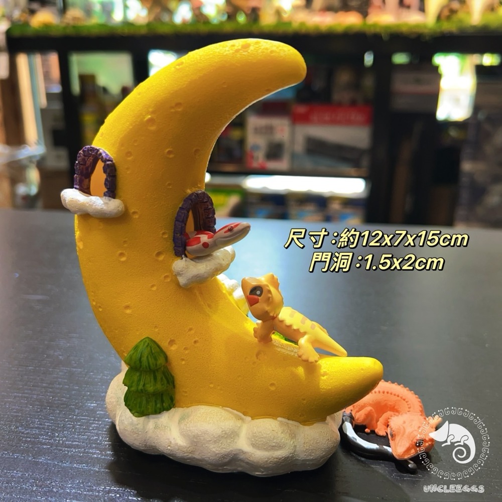 蛋叔叔-月亮星星屋/星空/擺飾/洞穴/造景/樹棲型/洞穴/星座/命盤/睫角守宮/豹紋守宮/肥尾守宮/公仔-規格圖10