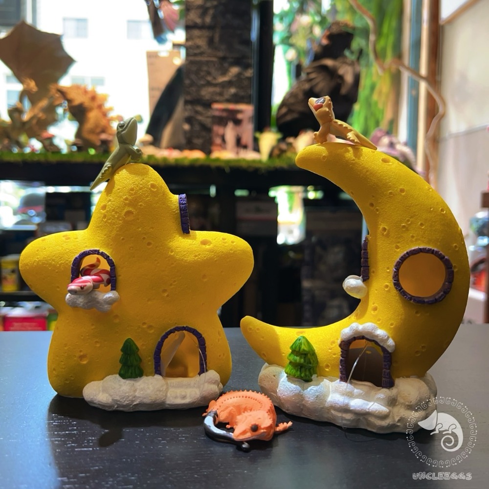 蛋叔叔-月亮星星屋/星空/擺飾/洞穴/造景/樹棲型/洞穴/星座/命盤/睫角守宮/豹紋守宮/肥尾守宮/公仔-規格圖10