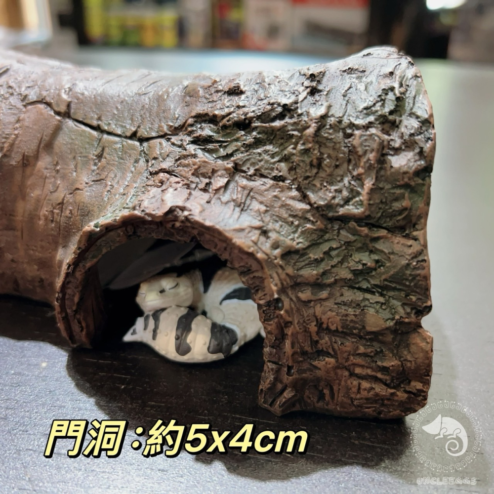 蛋叔叔-YS-044-S仿真樹洞-小/樹枝/洞穴/造景/擺飾/保濕/蜘蛛/螯蝦/劍毒蛙/玉米蛇/巨人守宮/守宮洞/守宮-細節圖3