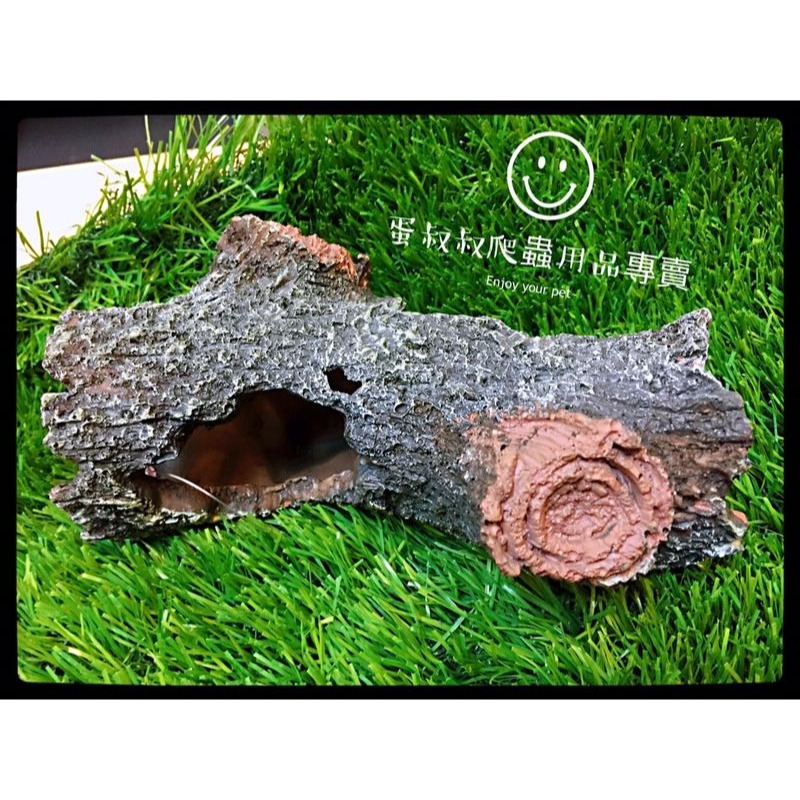 蛋叔叔-YS-044-S仿真樹洞-小/樹枝/洞穴/造景/擺飾/保濕/蜘蛛/螯蝦/劍毒蛙/玉米蛇/巨人守宮/守宮洞/守宮-規格圖9
