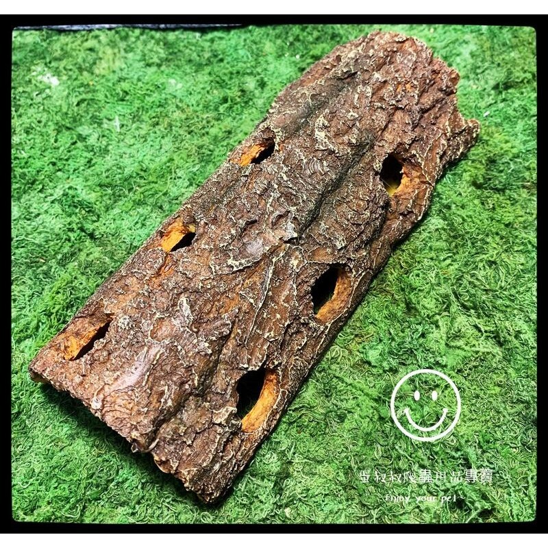 蛋叔叔-YS-714-M-仿香檳樹皮-中/守宮洞/守宮屋/洞穴/造景/樹洞/保濕/短雕/螯蝦/劍毒蛙/玉米蛇/巨人守宮-規格圖8