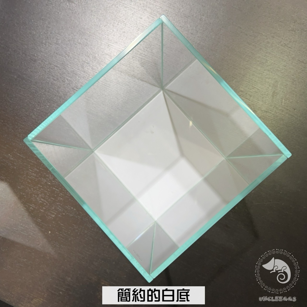 蛋叔叔-Mr.直角方形魚缸/超白缸/直立缸/鬥魚缸/角蛙缸/造景缸/小魚缸/開放缸/高透缸/水缸/風水缸/招財缸/小型缸-細節圖4