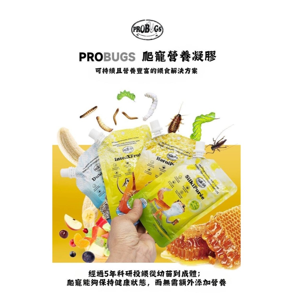 蛋叔叔-PROBUGS-守宮凝膠/守宮飼料/蟲泥/幼體/產後/營養膏/蜥蜴飼料/肥尾守宮/睫角守宮/巨人守宮/鬆獅飼料-細節圖11