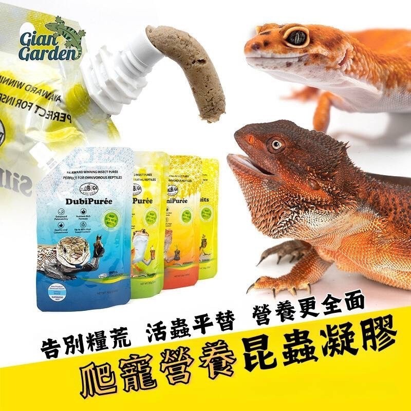 蛋叔叔-PROBUGS-鬆獅蜥凝膠/蟲泥/營養膏/蜥蜴飼料/鬆獅飼料/藍舌蜥飼料/鬣蜥飼料/箱龜飼料/營養膏/果凍鬆獅-細節圖10