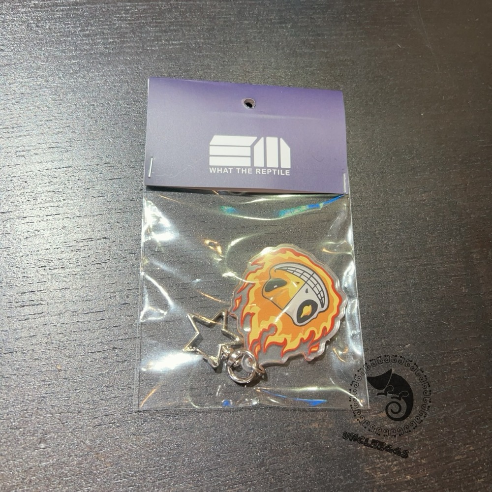 蛋叔叔-惡酷-Fire & Evil壓克力吊飾/三小爬寵/守宮吊飾/3little Reptile/惡靈戰警/鑰匙圈吊牌-規格圖6