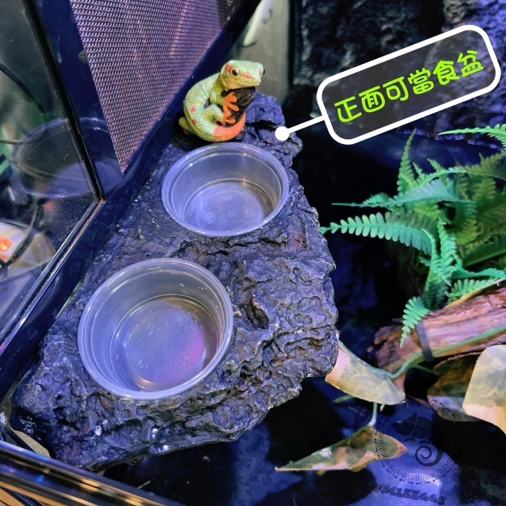 蛋叔叔-KM-岩石二合一果泥曬台/磁吸式/浮台/爬台/水盆/食盆/烏龜島/樹蛙/水皿/紅眼/餵食盆/巨人守宮/鑽紋龜-細節圖2