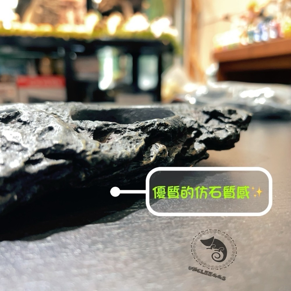 蛋叔叔【預購】-岩石二合一果泥曬台/磁吸式/浮台/爬台/水盆/食盆/烏龜島/樹蛙/紅眼/餵食盆/巨人守宮/鑽紋龜-細節圖6