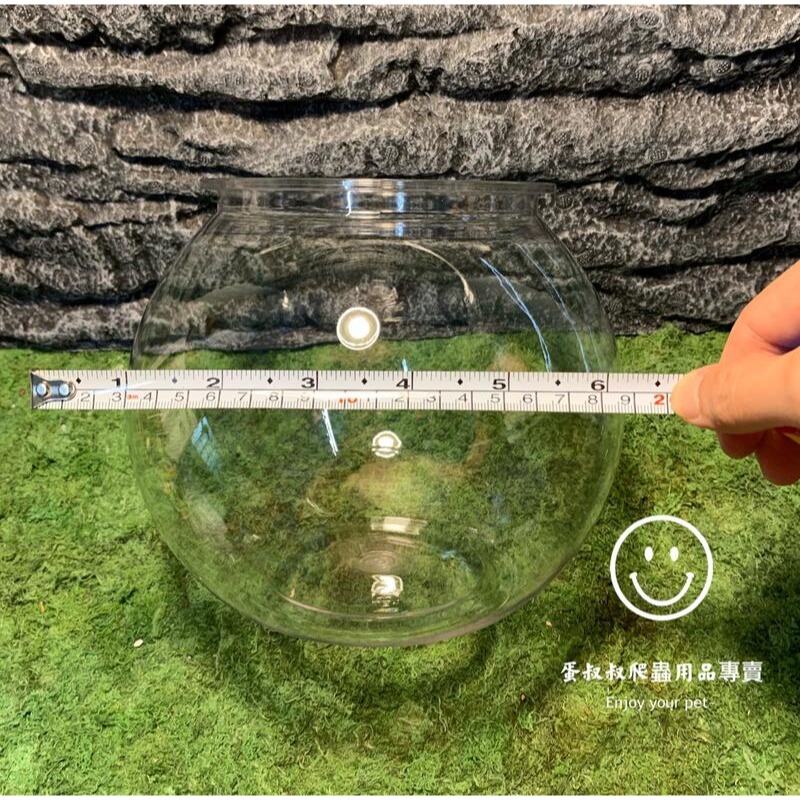 蛋叔叔-YG-205-8吋球型塑膠魚缸/圓缸/水草缸/角蛙缸/ADA/高透/孔雀魚/鬥魚缸/多肉植物/蠍子/鼠婦-細節圖4