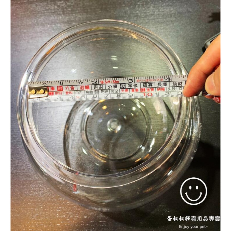 蛋叔叔-YG-205-8吋球型塑膠魚缸/圓缸/水草缸/角蛙缸/ADA/高透/孔雀魚/鬥魚缸/多肉植物/蠍子/鼠婦-細節圖5