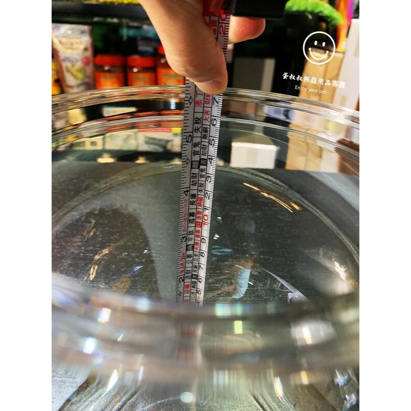 蛋叔叔-YG-205-8吋球型塑膠魚缸/圓缸/水草缸/角蛙缸/ADA/高透/孔雀魚/鬥魚缸/多肉植物/蠍子/鼠婦-細節圖6