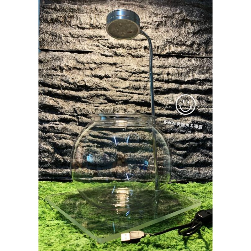 蛋叔叔-YG-205-8吋球型塑膠魚缸/圓缸/水草缸/角蛙缸/ADA/高透/孔雀魚/鬥魚缸/多肉植物/蠍子/鼠婦-細節圖7
