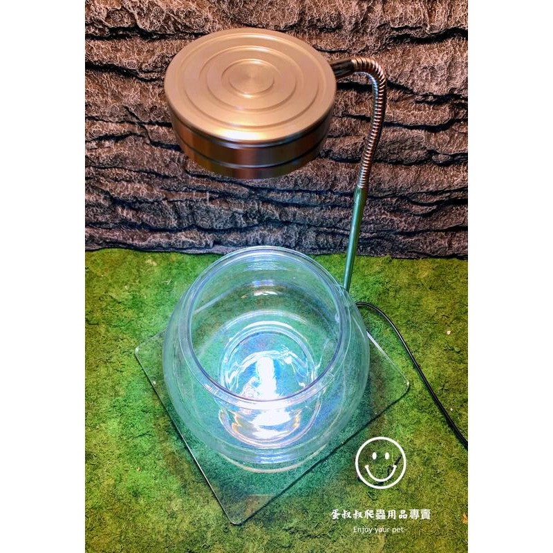 蛋叔叔-YG-205-8吋球型塑膠魚缸/圓缸/水草缸/角蛙缸/ADA/高透/孔雀魚/鬥魚缸/多肉植物/蠍子/鼠婦-細節圖8