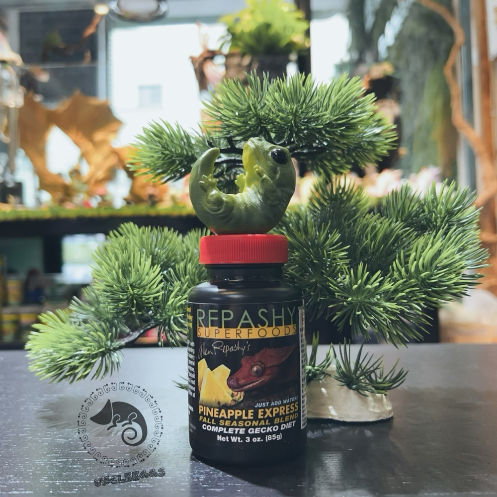 蛋叔叔-REPASHY-鳳梨果泥/睫角守宮/日行守宮/巨人守宮/日行守宮/守宮飼料/營養膏/鬆獅蜥/維他命補充/蓋勾亞-細節圖2