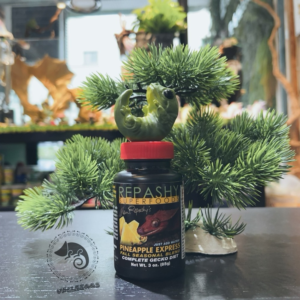 蛋叔叔-REPASHY-鳳梨果泥/睫角守宮/日行守宮/巨人守宮/日行守宮/守宮飼料/營養膏/鬆獅蜥/維他命補充/蓋勾亞-規格圖7