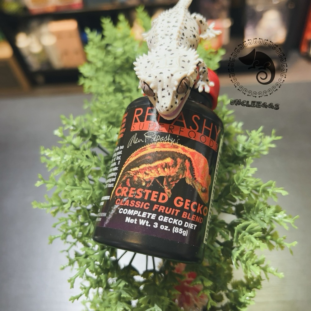 蛋叔叔-REPASHY-經典綜合果泥/睫角守宮/巨人守宮/蓋勾亞/馬島日守宮/守宮飼料/營養膏/鬆獅蜥/維他命補充-規格圖7