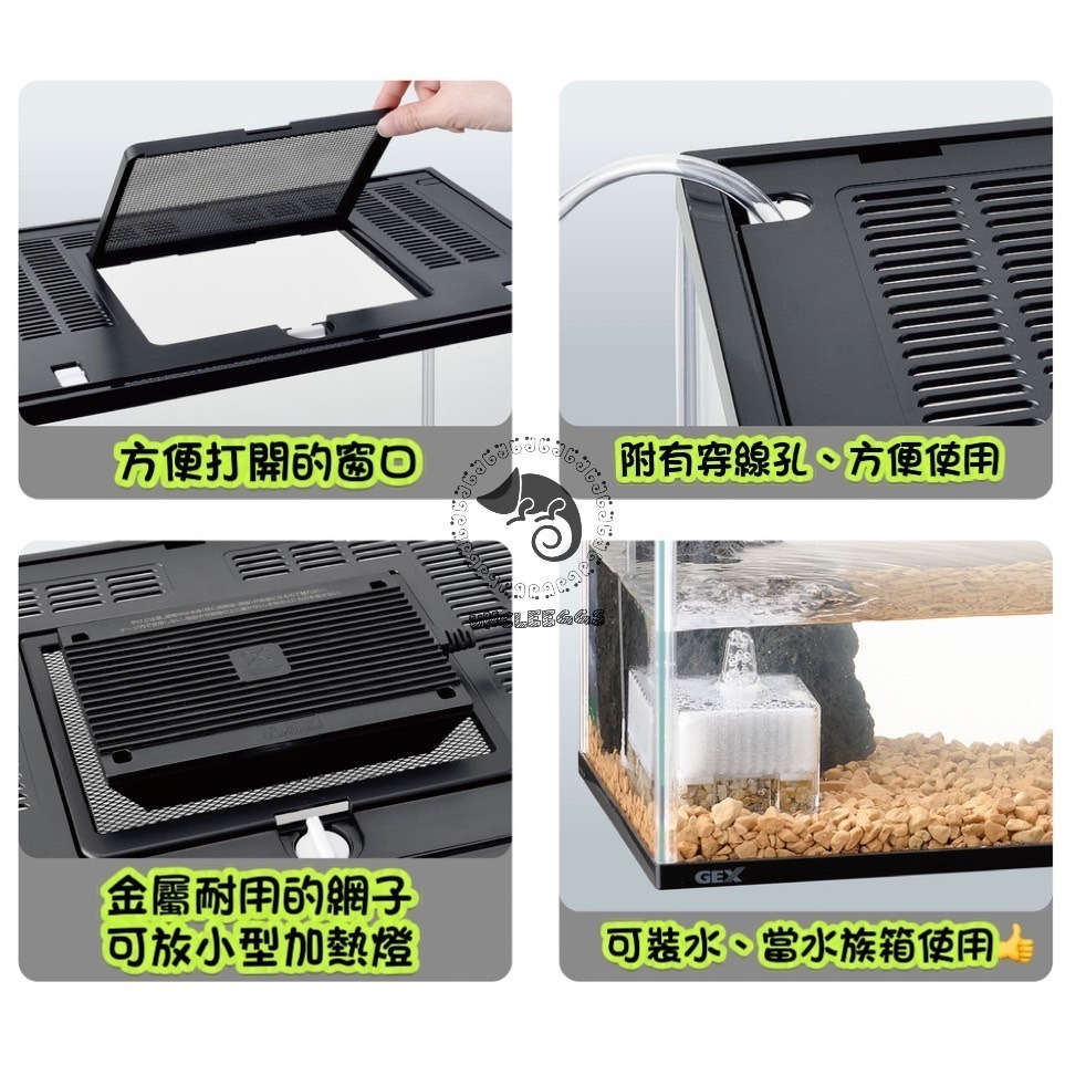 蛋叔叔-GEX-爬蟲兩棲觀賞魚多功能飼養箱/寵物箱/爬蟲箱/爬蟲缸/爬缸/飼養盒/烏龜缸/觀察箱/魚缸/壓克力缸/守宮缸-細節圖4