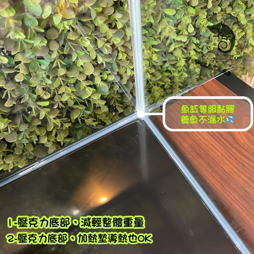 蛋叔叔-GEX-爬蟲兩棲觀賞魚多功能飼養箱/寵物箱/爬蟲箱/爬蟲缸/爬缸/飼養盒/烏龜缸/觀察箱/魚缸/壓克力缸/守宮缸-細節圖5