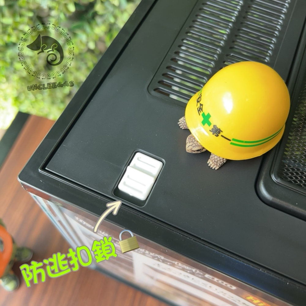 蛋叔叔-GEX-爬蟲兩棲觀賞魚多功能飼養箱/寵物箱/爬蟲箱/爬蟲缸/爬缸/飼養盒/烏龜缸/觀察箱/魚缸/壓克力缸/守宮缸-細節圖6