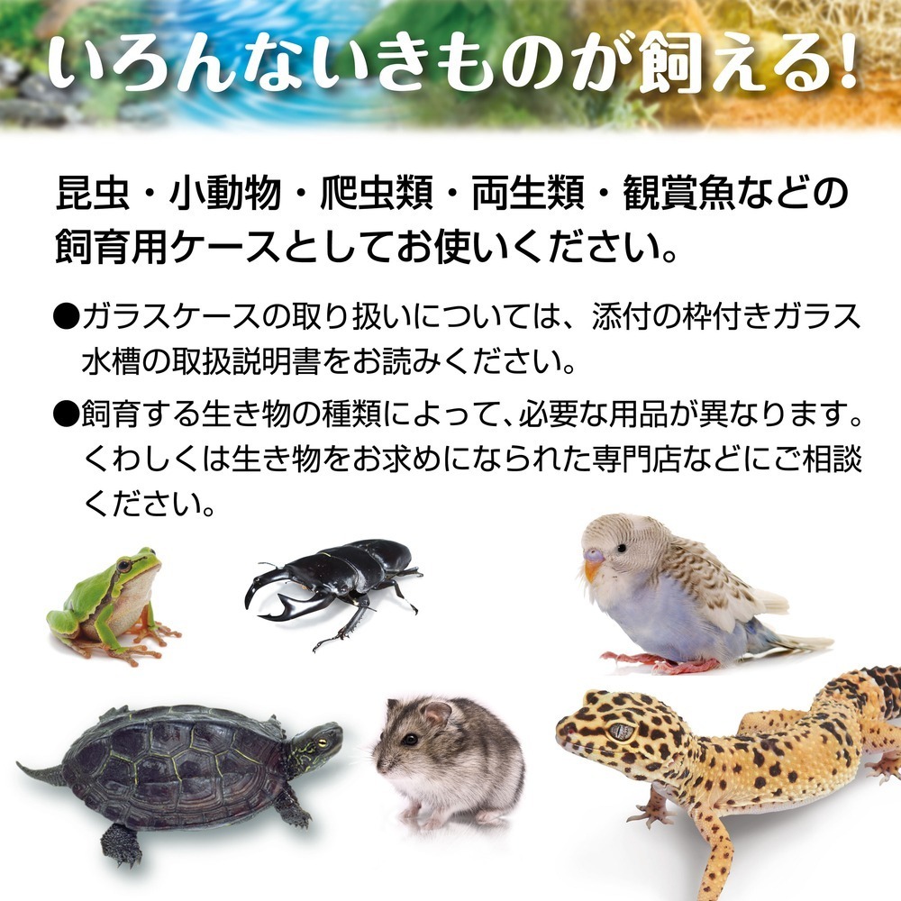 蛋叔叔-GEX-爬蟲兩棲觀賞魚多功能飼養箱/寵物箱/爬蟲箱/爬蟲缸/爬缸/飼養盒/烏龜缸/觀察箱/魚缸/壓克力缸/守宮缸-細節圖10