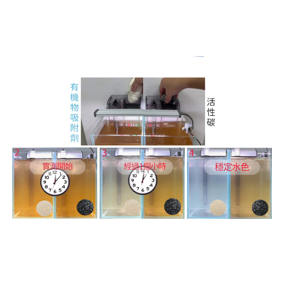 蛋叔叔-ISTA-有機物吸附劑/除臭/除色/除藻/除氯/濾材/去味/空氣缸/淨化水質/水草缸/烏龜缸/水晶蝦-細節圖2