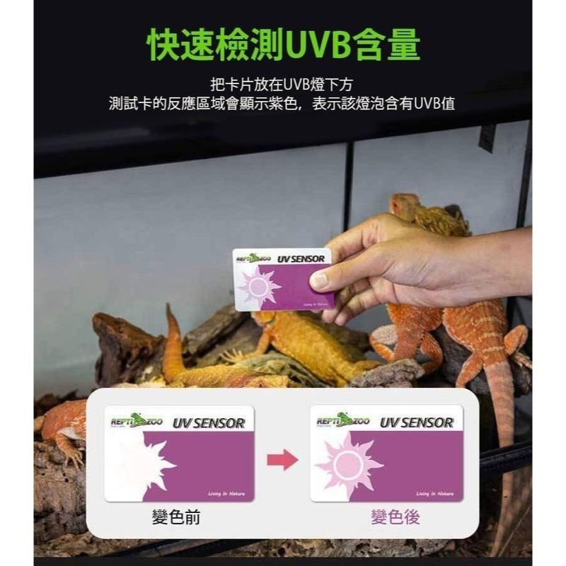蛋叔叔【免運費】爬蟲先生兩棲爬蟲定時UVB夾燈5.0/補鈣/曬燈/紫外線燈/UVB/紫外線燈/雨林型/蛋龜/水龜/日守宮-規格圖11