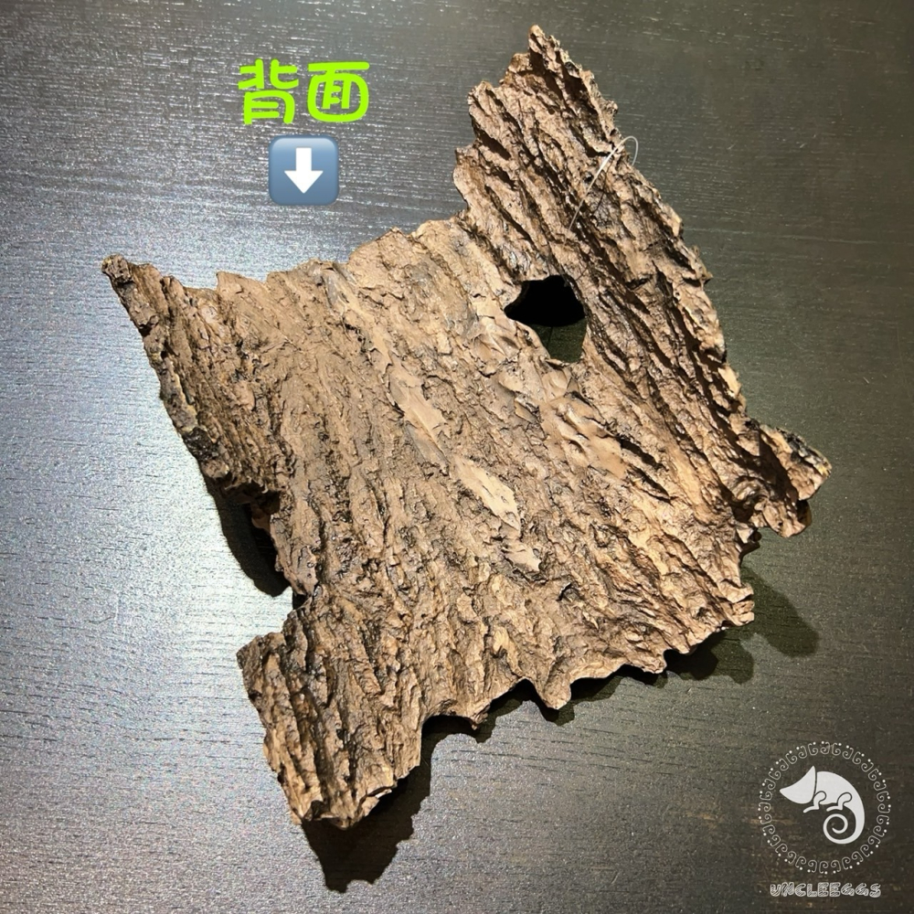 蛋叔叔-YS-713-S 仿香檳樹皮S/守宮洞/守宮屋/洞穴/造景/樹洞/樹棲型/劍毒蛙/玉米蛇/巨人守宮/睫角守宮-細節圖7