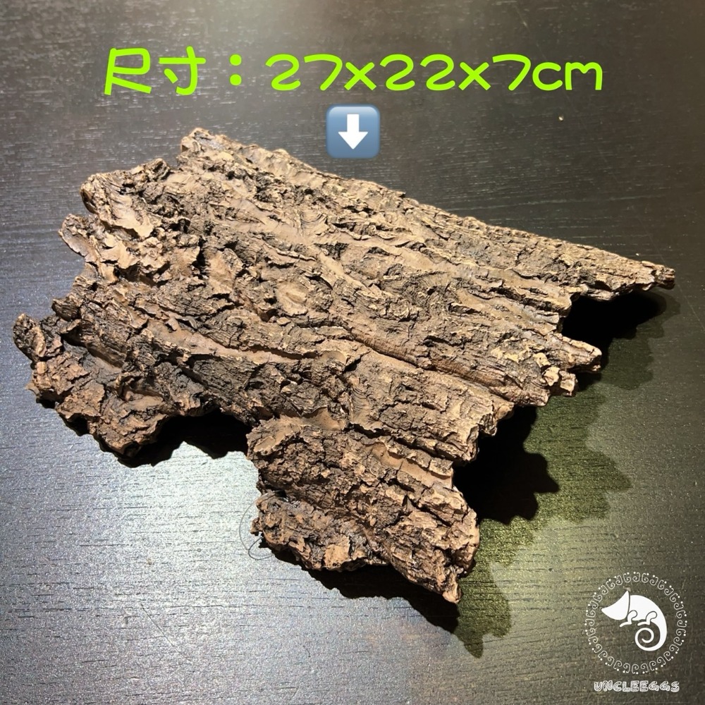 蛋叔叔-YS-713-L 仿香檳樹皮L/守宮洞/守宮屋/樹洞/樹棲型/劍毒蛙/玉米蛇/巨人守宮/睫角守宮/洞穴/造景-規格圖9
