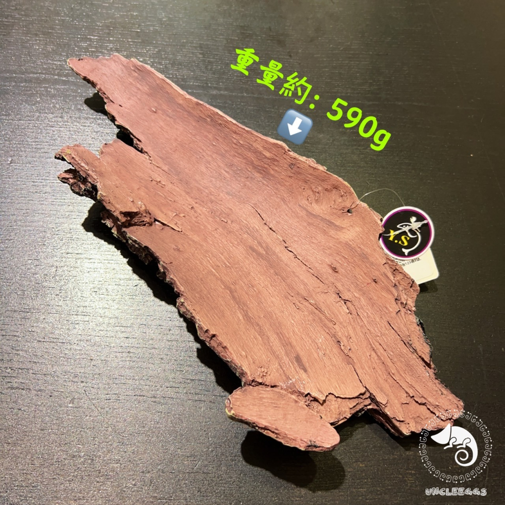 蛋叔叔【免運費】YS-714-S-仿香檳樹皮-小/樹洞/樹棲型/劍毒蛙/玉米蛇/巨人守宮/守宮洞/守宮屋/洞穴/造景-細節圖4