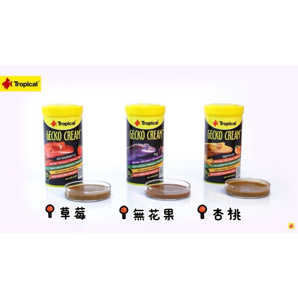 蛋叔叔【免運費】Tropical德比克-守宮專用果泥飼料/果粉/守宮飼料/睫角守宮/巨人守宮/營養膏/鬆獅蜥/藍舌蜥-細節圖6