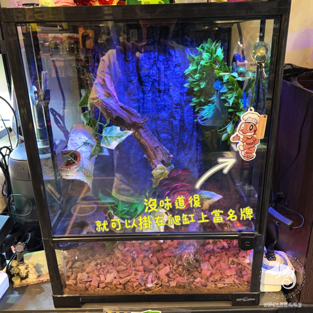 蛋叔叔-香氛紀錄卡-肥尾守宮/咖啡/香片/香氛片/香水片/香水吊卡/香水吊卡/汽車香片/香薰片/掛飾/吊牌/除臭片-細節圖5