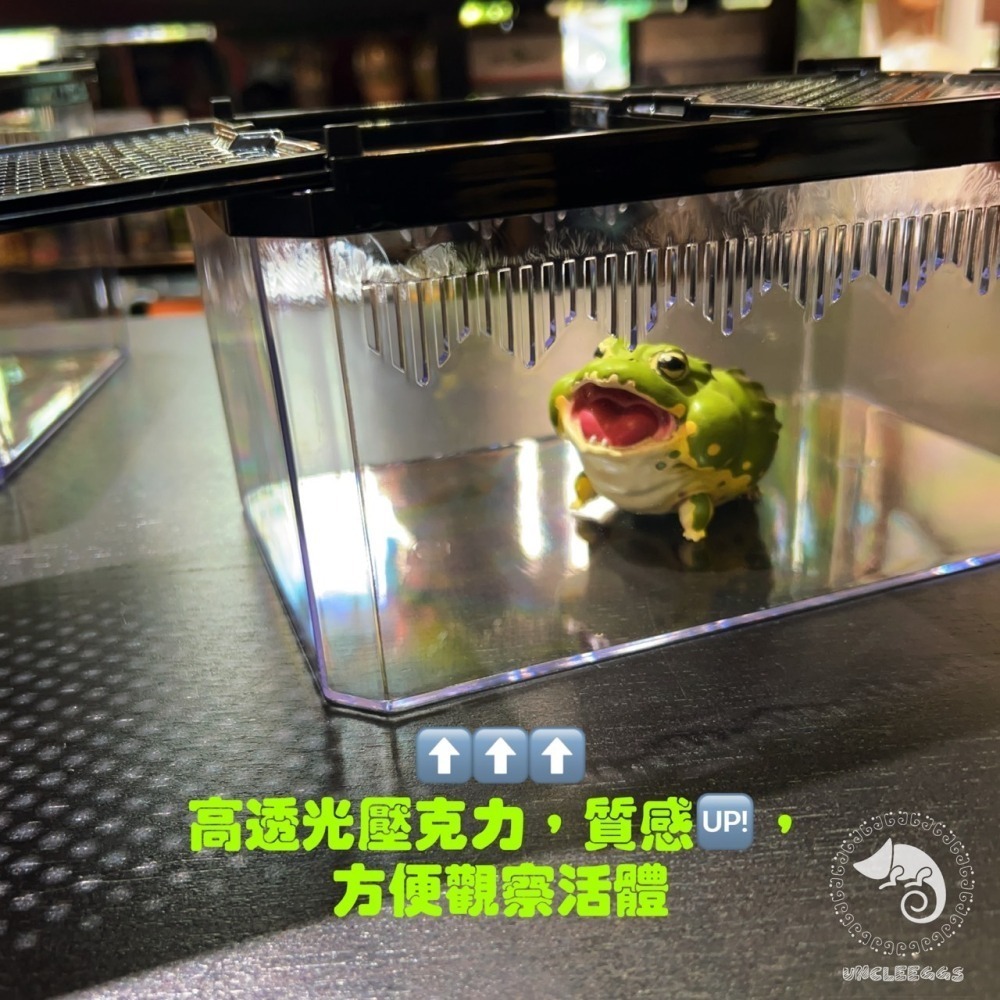 蛋叔叔-NOMO-雙開滑蓋飼養盒/磁吸式/寵物箱/飼育箱/守宮盒/餌料盒/運送盒/角蛙盒/烏龜盒/守宮缸/工作室專用-細節圖2