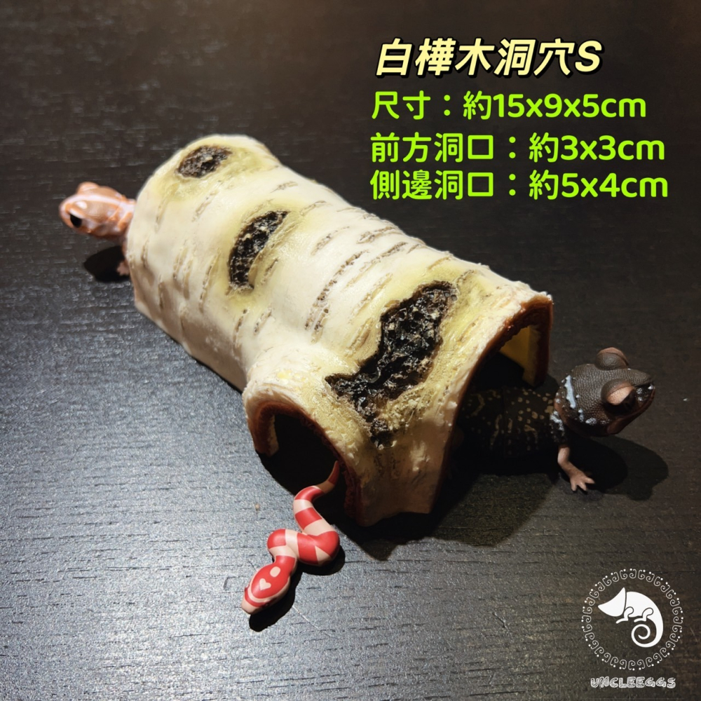 蛋叔叔-新手入門-守宮飼養套組/守宮套組/守宮屋/爬蟲箱/守宮缸/爬蟲缸/豹紋守宮/肥尾守宮/玉米蛇/幼龜/人渣盒-細節圖5