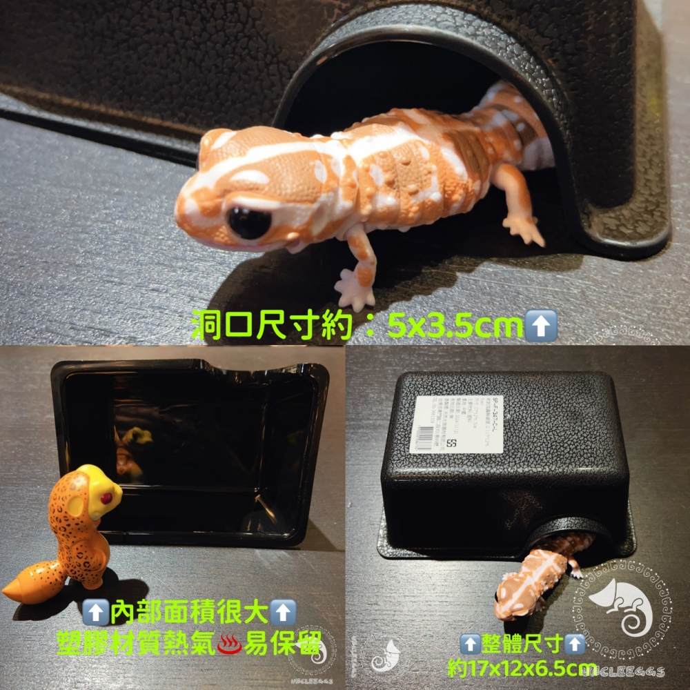 蛋叔叔-新手入門-守宮飼養套組/守宮套組/守宮屋/爬蟲箱/守宮缸/爬蟲缸/豹紋守宮/肥尾守宮/玉米蛇/幼龜/人渣盒-細節圖6