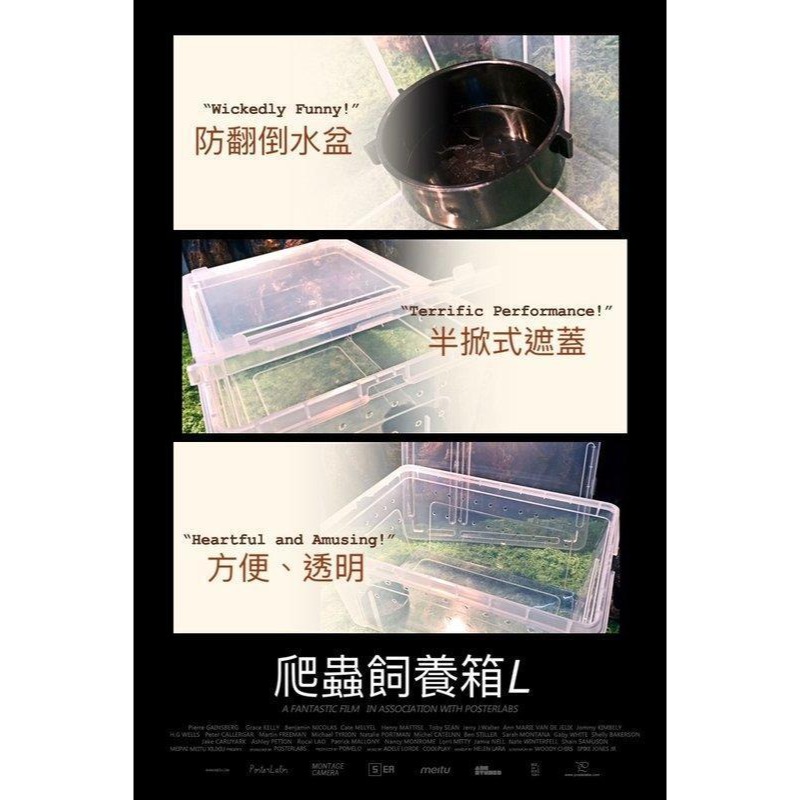 蛋叔叔-新手入門-守宮飼養套組/守宮套組/守宮屋/爬蟲箱/守宮缸/爬蟲缸/豹紋守宮/肥尾守宮/玉米蛇/幼龜/人渣盒-細節圖7