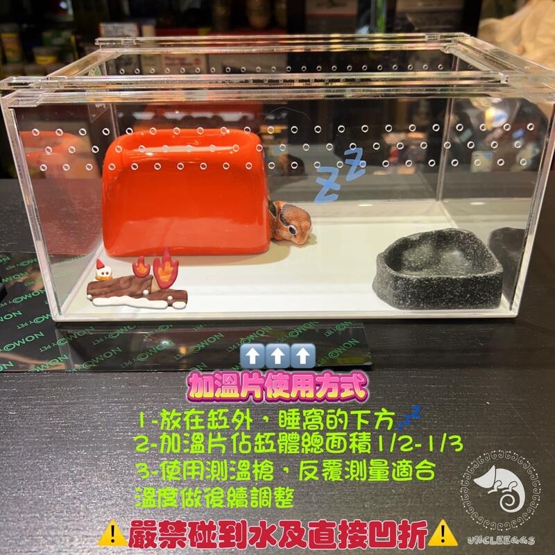 蛋叔叔-新手入門-守宮飼養套組/守宮套組/守宮屋/爬蟲箱/守宮缸/爬蟲缸/豹紋守宮/肥尾守宮/玉米蛇/幼龜/人渣盒-細節圖9