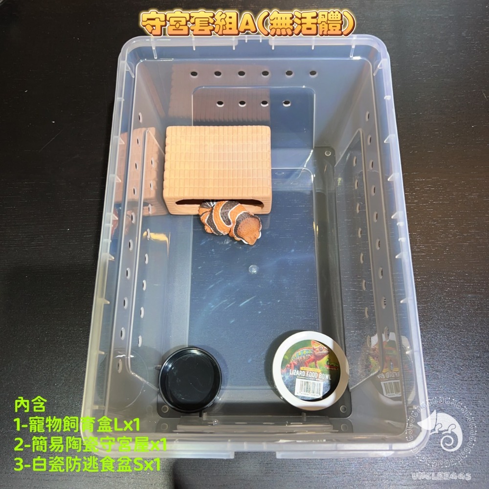 蛋叔叔-新手入門-守宮飼養套組/守宮套組/守宮屋/爬蟲箱/守宮缸/爬蟲缸/豹紋守宮/肥尾守宮/玉米蛇/幼龜/人渣盒-規格圖9