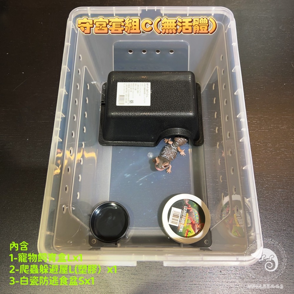 蛋叔叔-新手入門-守宮飼養套組/守宮套組/守宮屋/爬蟲箱/守宮缸/爬蟲缸/豹紋守宮/肥尾守宮/玉米蛇/幼龜/人渣盒-規格圖9