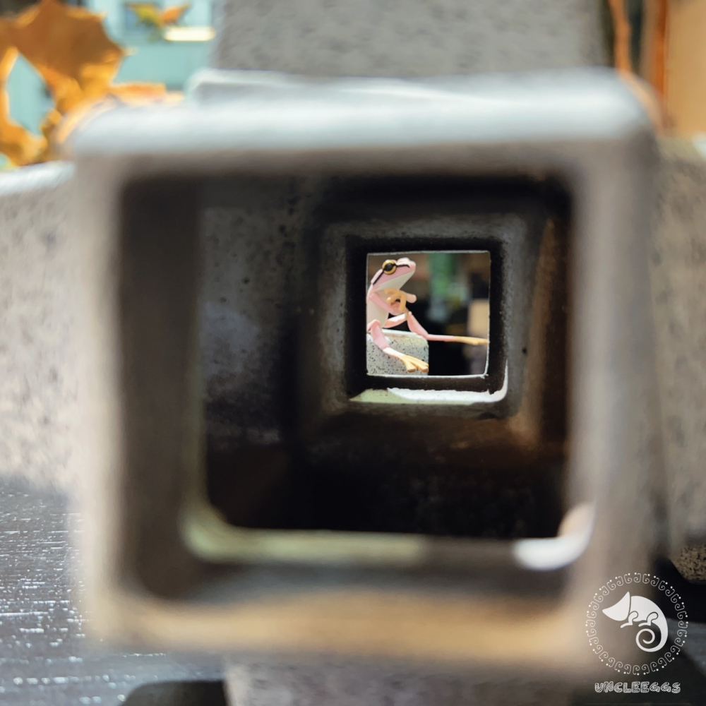 蛋叔叔-ST-石灰墩-短雕蝦屋/肉粽角/消波塊/台中名產/米蝦/水晶蝦/幼魚/幼蝦/躲避屋/立方/陶瓷/培菌/擴香石-細節圖7