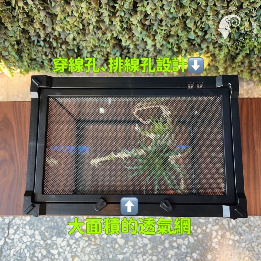 蛋叔叔【免運費】NOMO-雙開強化爬蟲缸-30cm矮缸/可堆疊/氣動式/爬蟲缸/爬蟲箱/寵物箱/寵物缸/雨林缸/角蛙缸-細節圖8