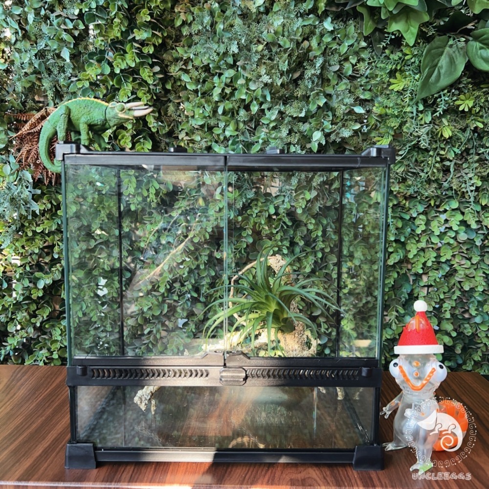 蛋叔叔【免運費】NOMO-雙開強化爬蟲缸-30cm高缸/可堆疊/氣動式/爬蟲缸/爬蟲箱/寵物缸/雨林缸/樹蛙缸/寵物箱-細節圖4