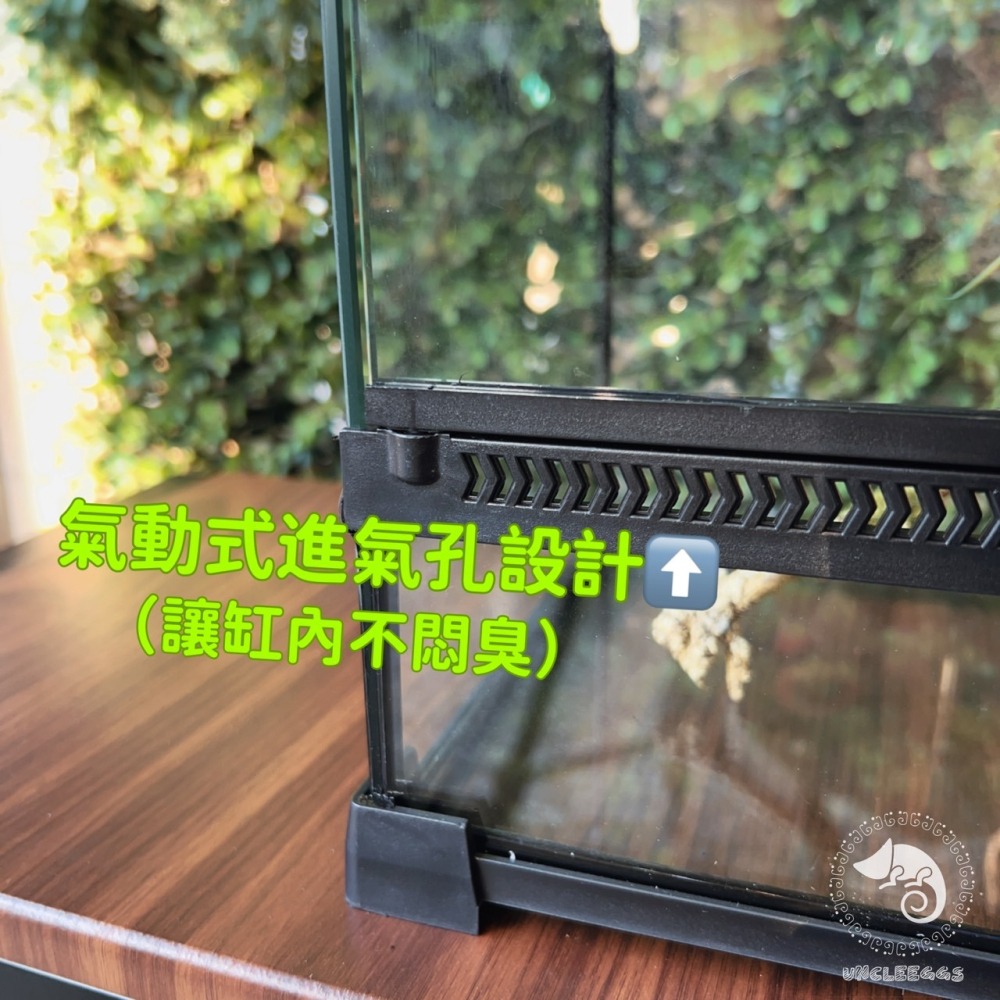 蛋叔叔【免運費】NOMO-雙開強化爬蟲缸-30cm高缸/可堆疊/氣動式/爬蟲缸/爬蟲箱/寵物缸/雨林缸/樹蛙缸/寵物箱-細節圖6