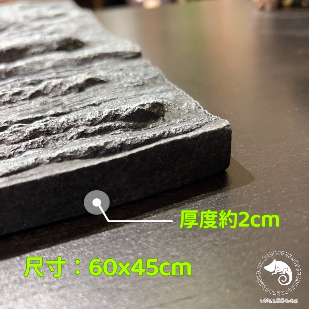 蛋叔叔-DP立體背景板-鐘乳石/岩板/半水景/造景/3D景/岩石景/背景/保麗龍/雨林缸/DIY-細節圖3