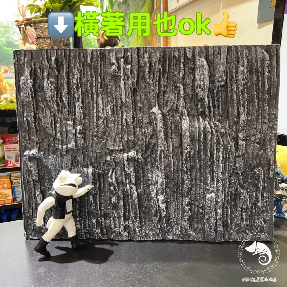 蛋叔叔-DP立體背景板-鐘乳石/岩板/半水景/造景/3D景/岩石景/背景/保麗龍/雨林缸/DIY-細節圖4