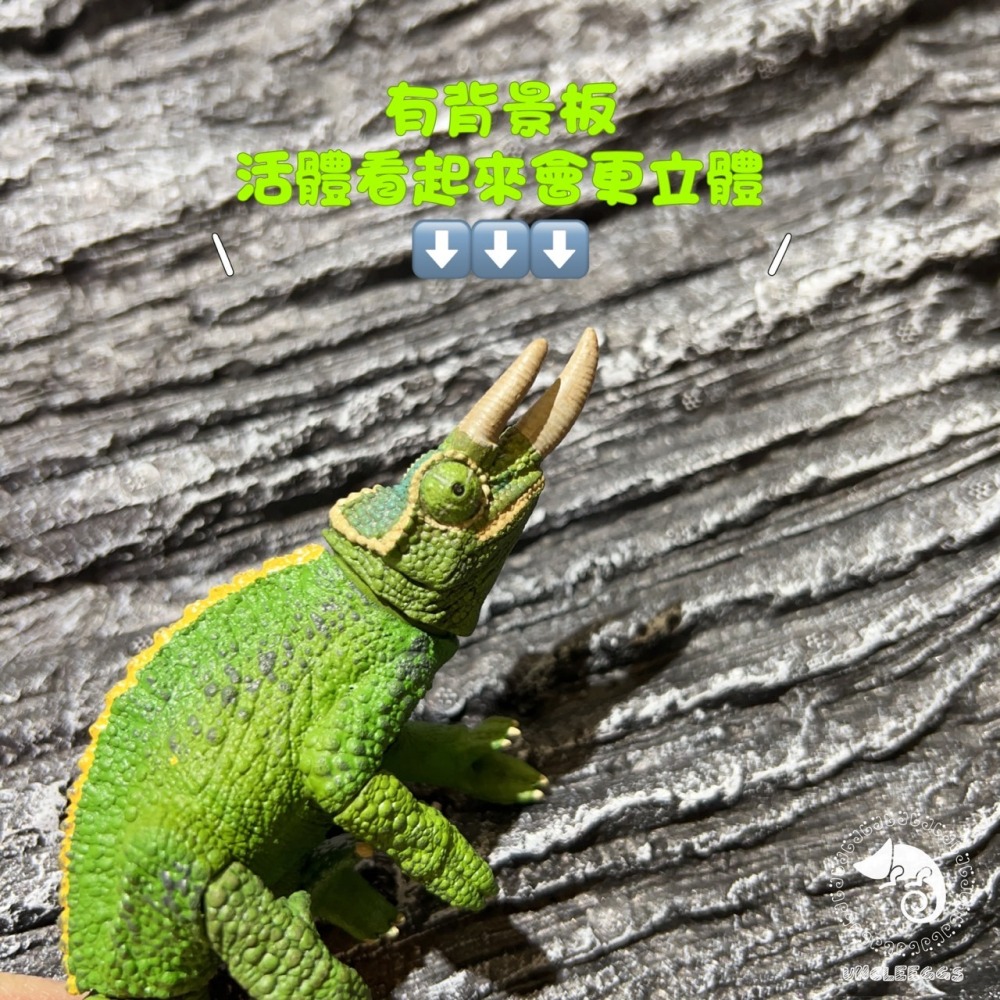 蛋叔叔-DP立體背景板-鐘乳石/岩板/半水景/造景/3D景/岩石景/背景/保麗龍/雨林缸/DIY-細節圖5