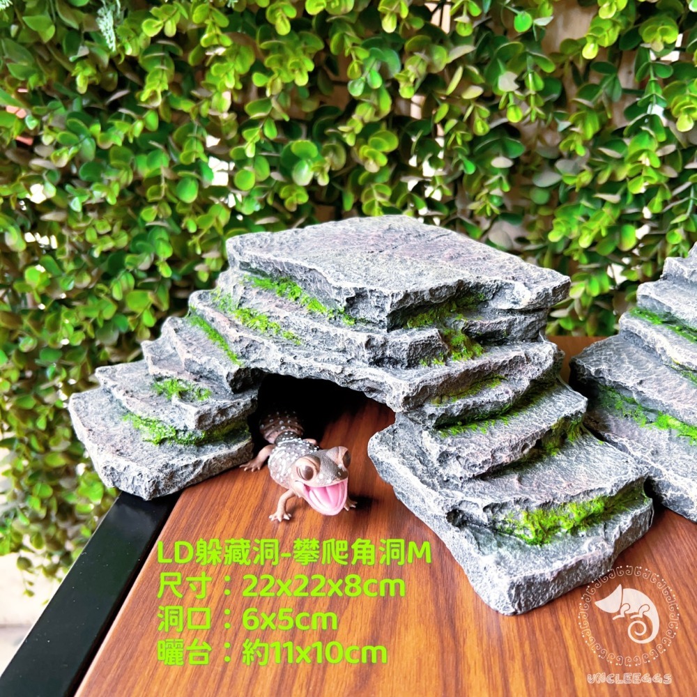 蛋叔叔-LD-躲藏洞-攀爬岩洞/角落型/曬台/爬台/守宮洞/守宮屋/烏龜島/蛇洞/角落洞穴/肥尾守宮/玉米蛇/藍舌蜥-規格圖11